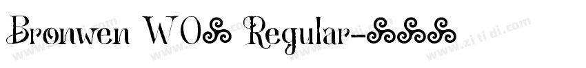 Bronwen W05 Regular字体转换